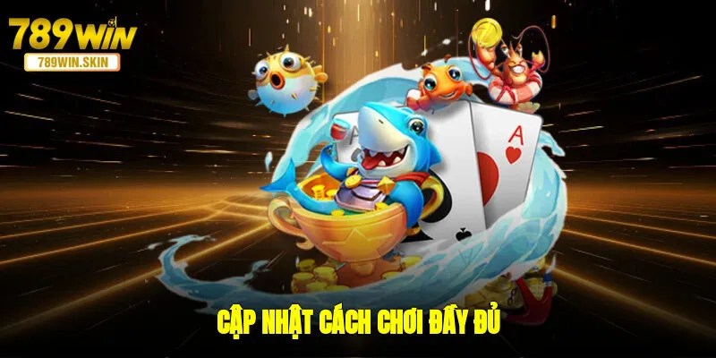 Cập nhật cách chơi đầy đủ