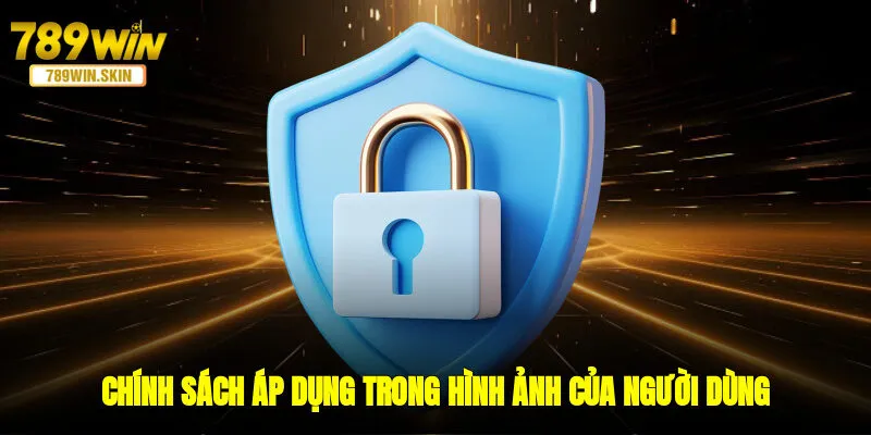 Chính sách áp dụng trong hình ảnh, ý kiến của người dùng tại nền tảng 