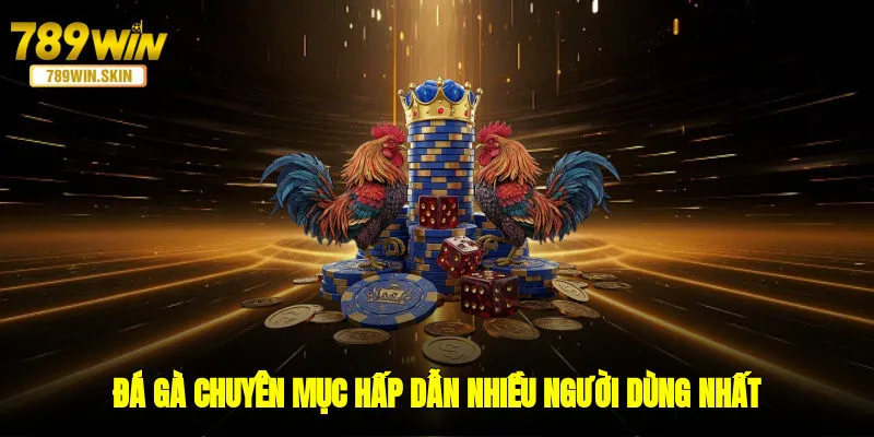 Đá gà - Chuyên mục hấp dẫn nhiều người dùng nhất
