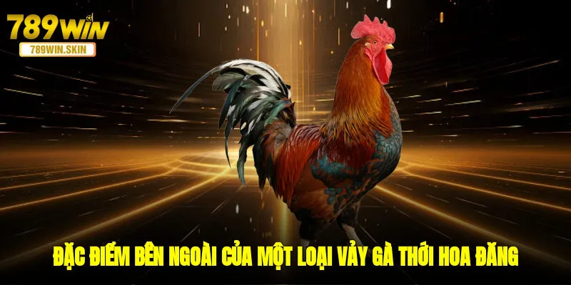 Đặc điểm bên ngoài của một loại vảy gà thới hoa đăng 