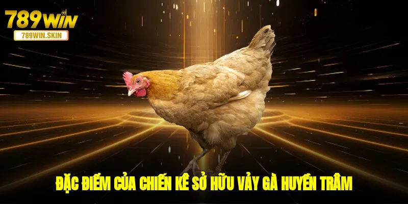 Đặc điểm của chiến kê sở hữu vảy gà Huyền Trâm  