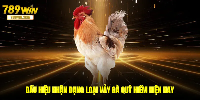 Dấu hiệu nhận dạng loại vảy gà quý hiếm hiện nay 