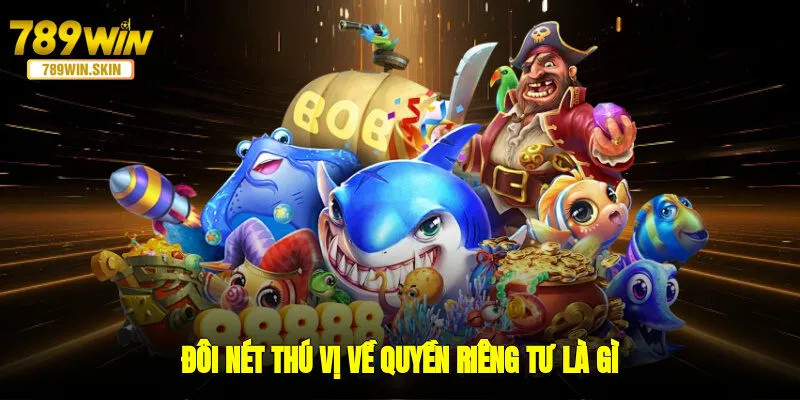 Đôi nét thú vị về quyền riêng tư là gì?