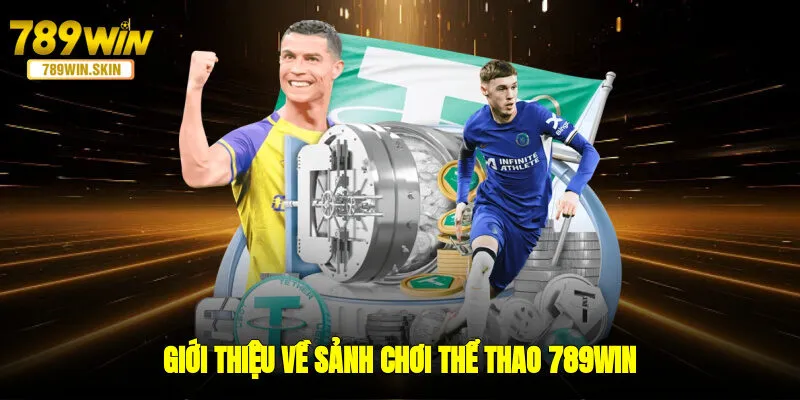 Giới thiệu về sảnh chơi thể thao 789WIN