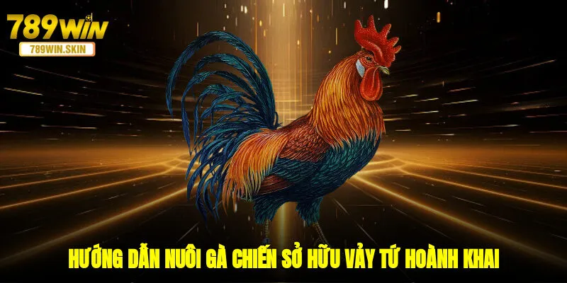 Hướng dẫn nuôi gà chiến sở hữu vảy tứ hoành khai 