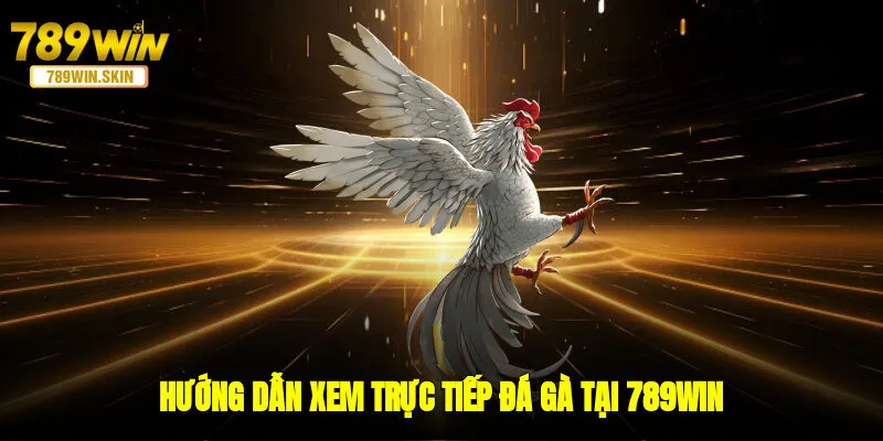 Hướng dẫn xem trực tiếp đá gà tại 789WIN