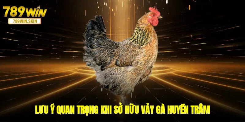 Lưu ý quan trọng khi sở hữu vảy gà Huyền Trâm