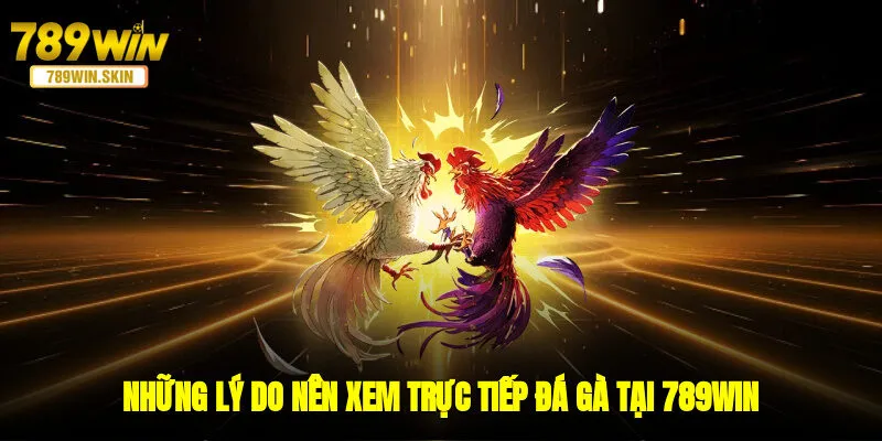 Những lý do nên xem trực tiếp đá gà tại 789WIN