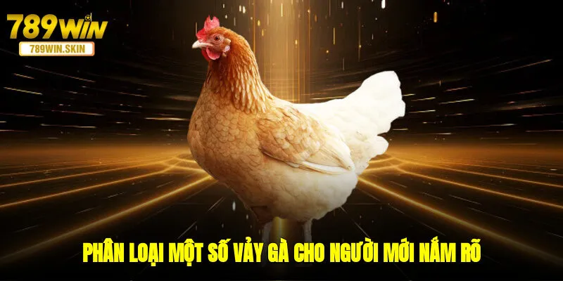 Phân loại một số vảy gà cho người mới nắm rõ 
