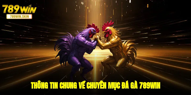 Thông tin chung về chuyên mục đá gà 789WIN